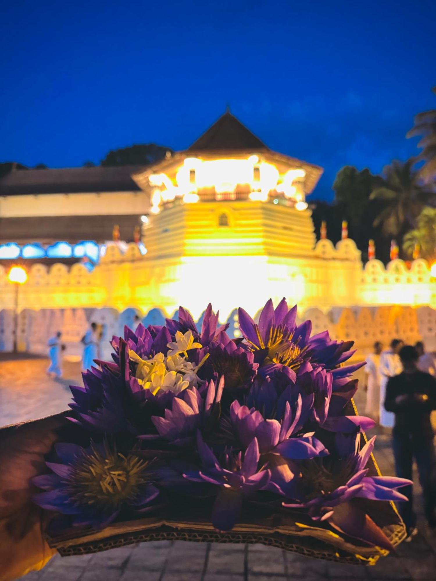 Mahaweli View Bungalow Kandy Buitenkant foto
